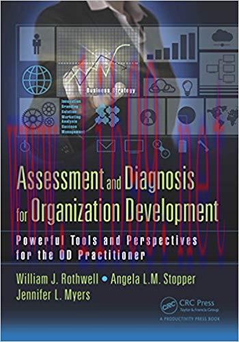 Assessment and Diagnosis for Organization Development: Powerful Tools and Perspectives for the ...