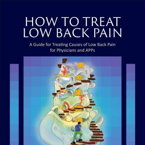 [AME]How to Treat Low Back Pain: A Guide for Treating causes of Low Back Pain for Physicians an...