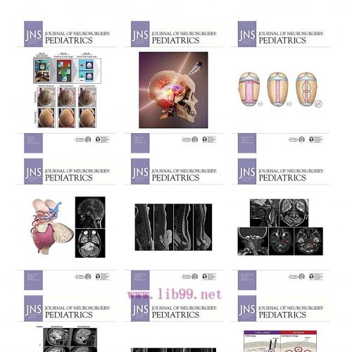 [AME]Journal of Neurosurgery Pediatrics 2023 Full Archives (True PDF)