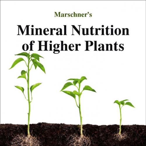 Marschner's Mineral Nutrition of Higher Plants 3rd - Marschner, Petra.,Marschner, Horst_
