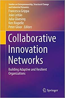 (PDF)Collaborative Innovation Networks Building Adaptive and Resilient Organizations (Studies o...