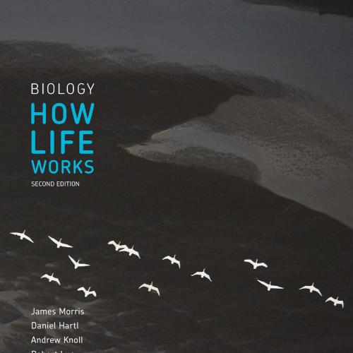 Biology how Life Works 2nd Second Edition - James Morris; Daniel Hartl; Andrew Knoll; Robert Lu...