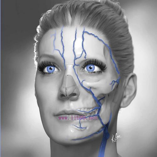 [AME]Essentials of Neuromodulation (EPUB)
