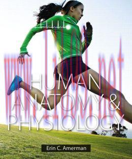 [AME]Human Anatomy & Physiology (Erin C. Amerman)