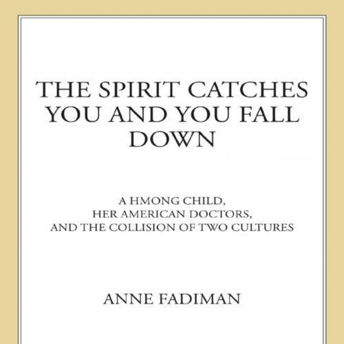 Spirit Catches You and You Fall Down, The