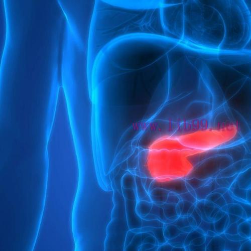 [AME]ASGE Pancreatic Cancer Awareness Month | November 2020 (Videos)