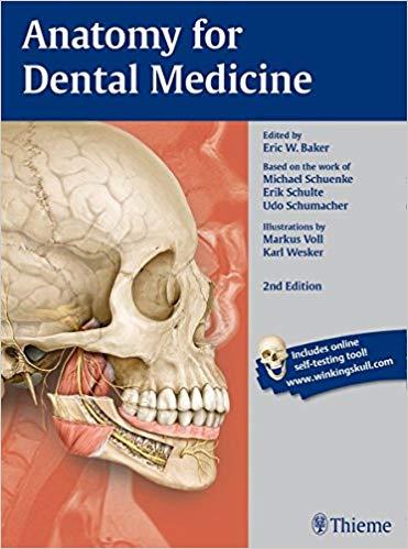 Anatomy for Dental Medicine 2nd Edition