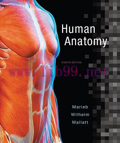 [AME]Human Anatomy (8th Edition) (Marieb)