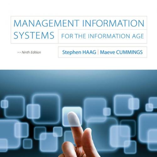 Management Information Systems for the Information Age 9th Edition
