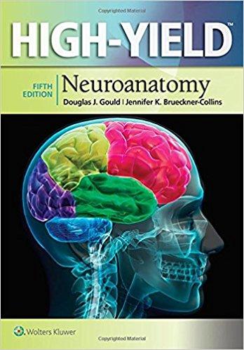 High-Yield Neuroanatomy, 5th Edition