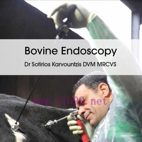 [AME]Bovine Endoscopy (EPUB)