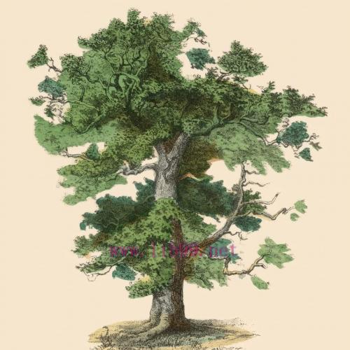 [AME]Applied Psychology for Foundation Year: Key Ideas for Foundation Courses (Original PDF)