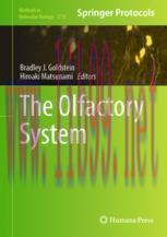 [PDF]The Olfactory System