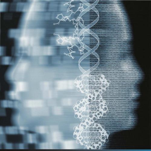 Primer of Human Genetics, A