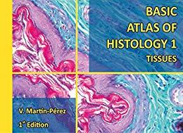 (PDF)Basic Atlas of Histology 1 Tissues Manual for Histology Lab work (Histology Atlas)