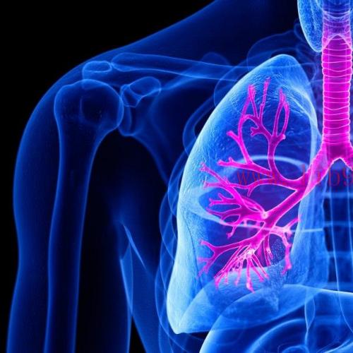 [AME]Harvard Pulmonary and Critical Care Medicine 2022 (CME VIDEOS)