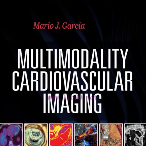 [AME]Multimodal Cardiac Imaging (Original PDF)
