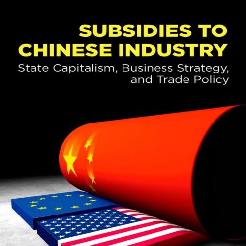 Subsidies to Chinese Industry State Capitalism, Business Strategy, and Trade Policy