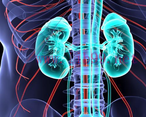 [AME]Mayo Clinic Nephrology and Transplantation for the Clinician 2022 (Videos+Assessment Quiz)