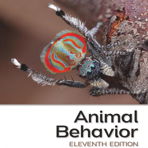 Animal Behavior An Evolutionary Approach, 11th Edition [John Alcock] - Dustin R. Rubenstein & J...