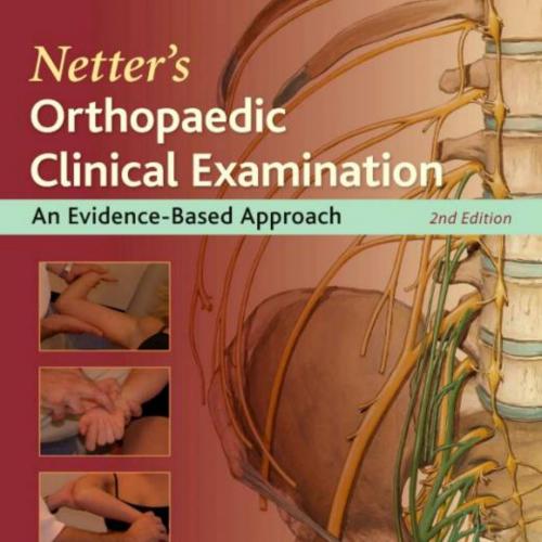 Netter's Orthopaedic Clinical Examination, 2nd Edition
