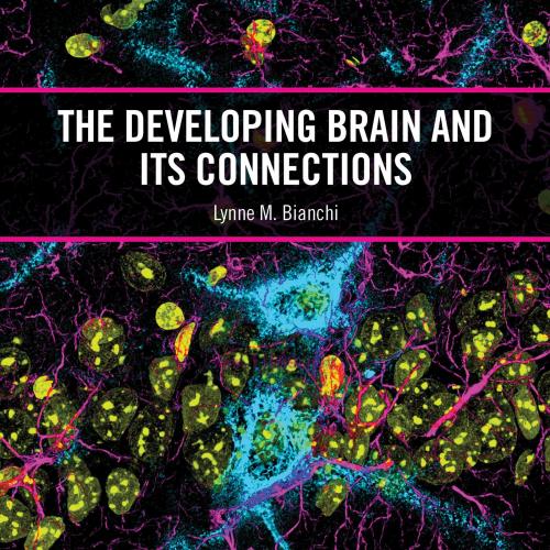 [AME]The Developing Brain and its Connections (EPUB)