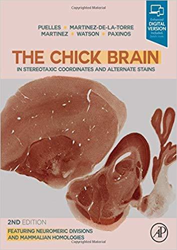 The Chick Brain in Stereotaxic Coordinates and Alternate Stains
