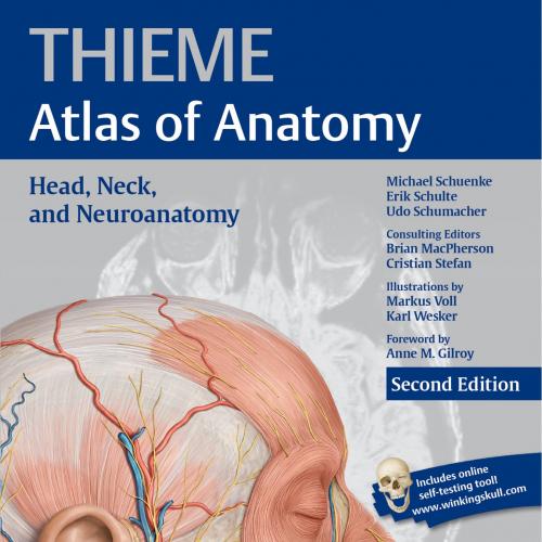 Head, Neck, and Neuroanatomy (Thieme Atlas of Anatomy) 2nd Edition