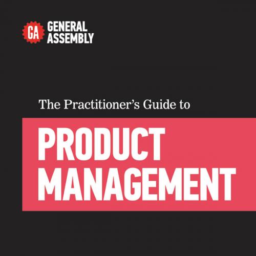 Practitioner's Guide to Product Management, The