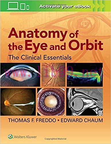 [EPUB]Anatomy of the Eye and Orbit
