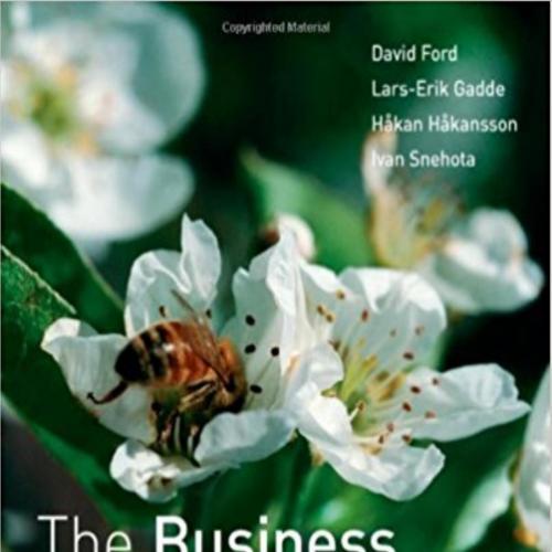 Business Marketing Course Managing in Complex Networks 2nd Edition, The