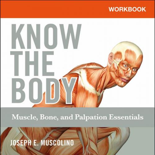 Workbook for Know the Body-Muscle,Bone,and Palpation Essentials