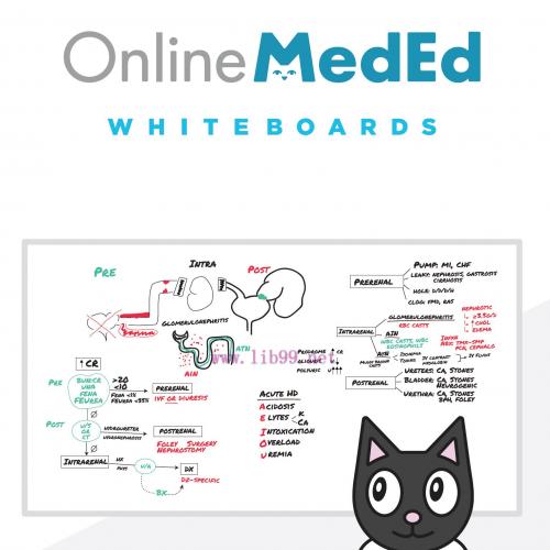 [AME]OnlineMedEd WhiteBoard Snapshot for Clinical Science "USMLE STEP 2" 2021 (PDF)