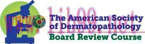 [AME]Essentials of Dermatopathology Online Board Review Course 2020 (CME VIDEOS)