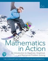 Mathematics in Action, 6th Edition [Ralph Bertelle]