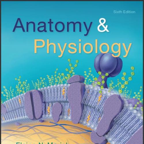 (Test Bank)Anatomy & Physiology, 6th Edition by Elaine N. Marieb.zip