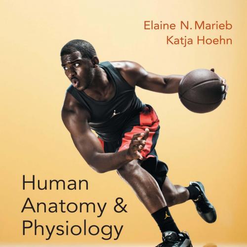 Human Anatomy & Physiology, 10th Edition by Elaine N. Marieb & Katja Hoehn