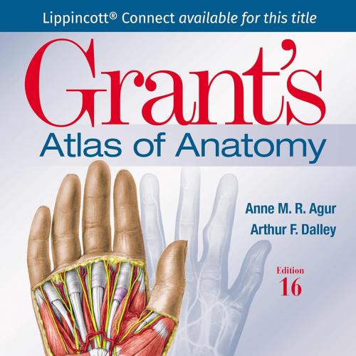 Grant&rsquo;s Atlas of Anatomy Sixteenth, North American Edition(EPub+Converted PDF)