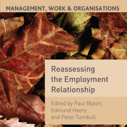 Reassessing the Employment Relationship - Paul Blyton & Edmund Heery & Peter Turnbull