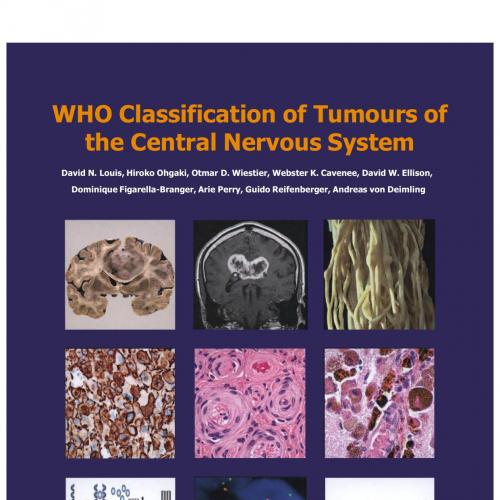 WHO Classification of Tumours of the Central Nervous System 4th - Wei Zhi