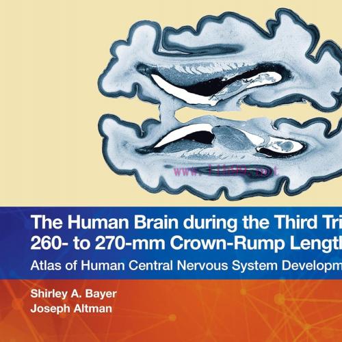 [AME]The Human Brain during the Third Trimester 260&ndash; to 270&ndash;mm Crown-Rump Lengths: Atlas of Cen...