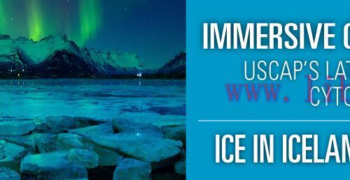 [AME]USCAP Immersive Cytopathology Experience ICE in Iceland 2019 (CME VIDEOS)