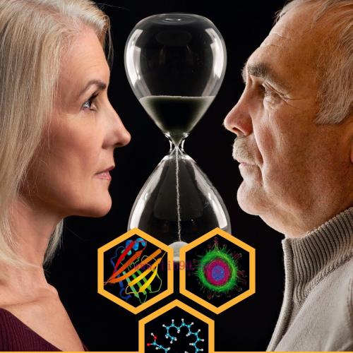 [AME]Molecular, Cellular, and Metabolic Fundamentals of Human Aging (EPUB)