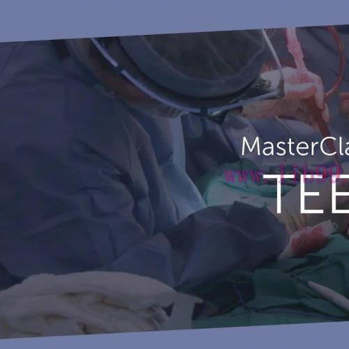 [AME]123sonography TEE MasterClass (Videos)