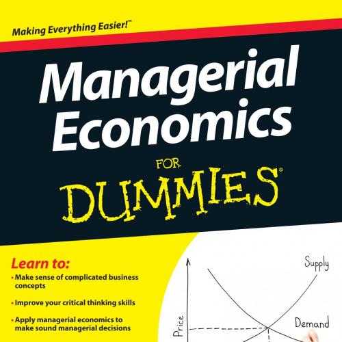 Managerial Economics For Dummies - Graham, Robert