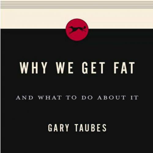 Why We Get Fat And What to Do About It by Gary Taubes - Gary Taubes