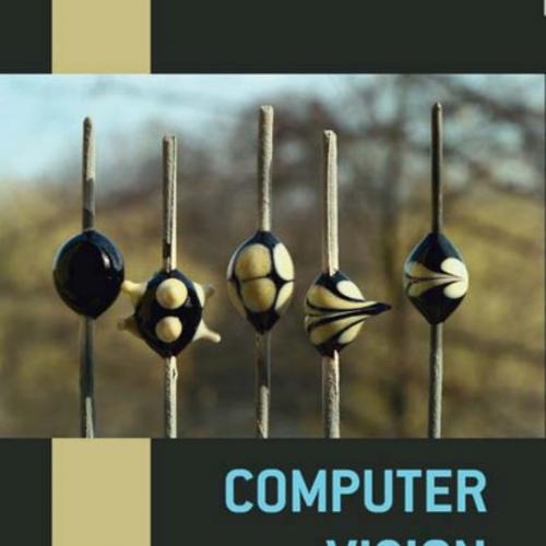 Couter Vision Visual Effects 0521766877