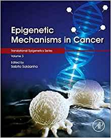 Epigenetic Mechanisms in Cancer, Volume 3 (Translational Epigenetics)