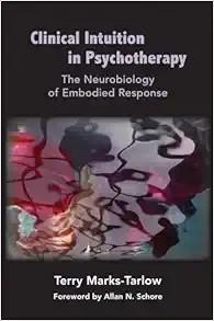 [AME]Clinical Intuition in Psychotherapy: The Neurobiology of Embodied Response (Norton Series ...