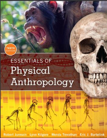 (Solution Manual)Essentials of Physical Anthropology , 10th Edition Robert Jurmain.zip